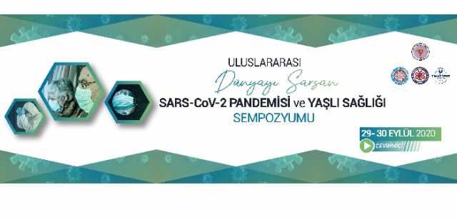 uluslararasidunyayisarsanpandemiler